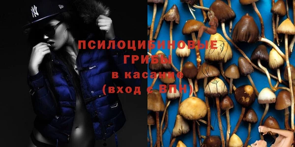 бутират Богданович