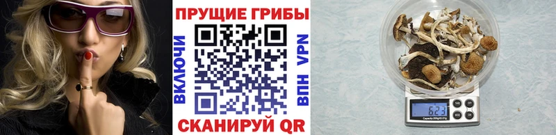 Галлюциногенные грибы Psilocybe  сколько стоит  Сретенск 